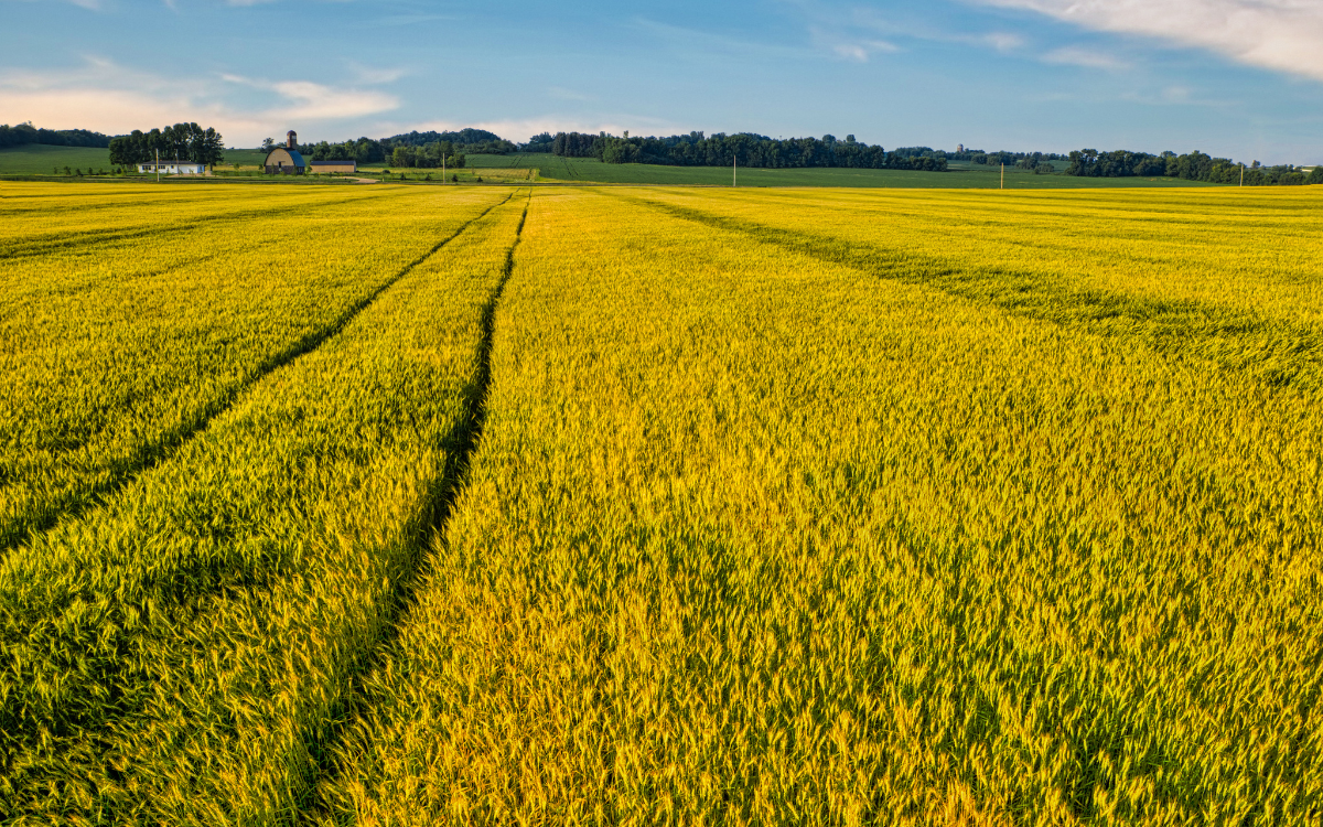 What Happens to a CRP Contract When Land Sells? A Guide for Minnesota Land Buyers and Sellers